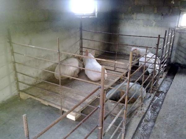 Рукоделие для дома своими руками Рукоделие для дома своими руками