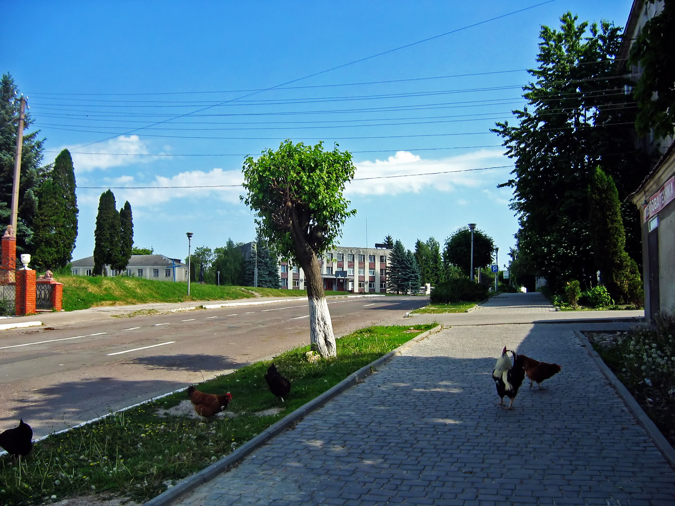 Погода в красной поляне в горах на завтра